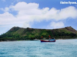 dao-an-binh1